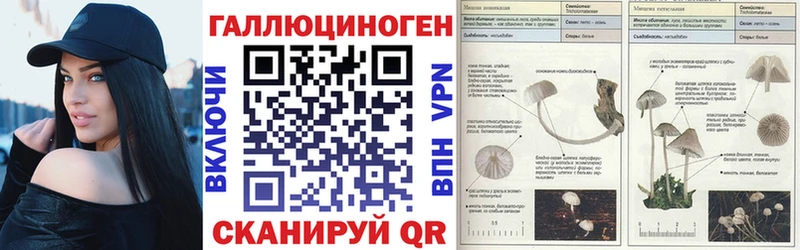 нарко площадка состав  Качканар  Псилоцибиновые грибы Cubensis 